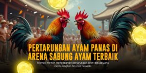 SABUNG AYAM S128: Menyelami Dunia Adu Ayam Online Terpercaya
