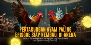 Mengenal Ayam Bangkok: Raja Arena Sabung Ayam SV388