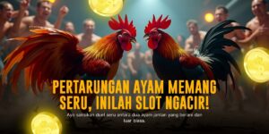 Rahasia Keseruan Sabung Ayam SV388 yang Jarang Diketahui